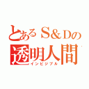 とあるＳ＆Ｄの透明人間（インビジブル）