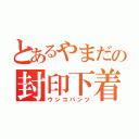 とあるやまだの封印下着（ウンコパンツ）