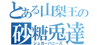 とある山梨王の砂糖兎達（シュガーバニーズ）