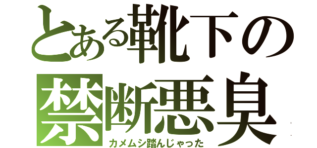 とある靴下の禁断悪臭（カメムシ踏んじゃった）