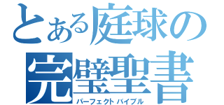 とある庭球の完璧聖書（パーフェクトバイブル）