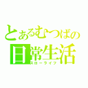 とあるむつばの日常生活（スローライフ）