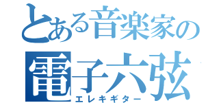 とある音楽家の電子六弦楽器（エレキギター）