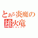 とある炎魔の雄火竜（リオレウス）