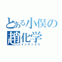 とある小俣の趙化学（インデックス）