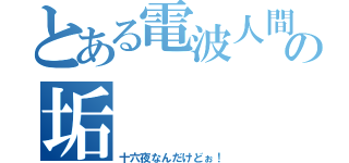 とある電波人間勢の垢（十六夜なんだけどぉ！）