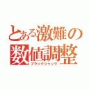 とある激難の数値調整（ブラックジャック）