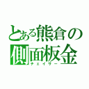 とある熊倉の側面板金（チェイサー）