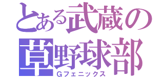 とある武蔵の草野球部（Ｇフェニックス）