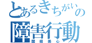 とあるきちがいの障害行動（関根美心）