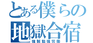 とある僕らの地獄合宿（強制勉強労働）