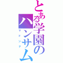 とある学園のハンサム（マドンナ）