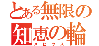 とある無限の知恵の輪（メビウス）