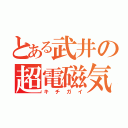 とある武井の超電磁気学（キチガイ）