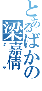 とあるばかの梁嘉倩（ばか）