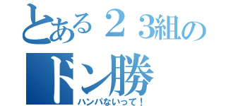 とある２３組のドン勝（ハンパないって！）