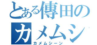 とある傳田のカメムシ（カメムシーン）