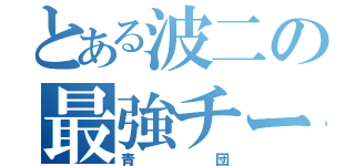 とある波二の最強チーム（青団）