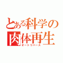 とある科学の肉体再生（オートリバース）