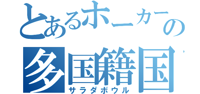 とあるホーカーの多国籍国家（サラダボウル）