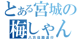 とある宮城の梅しゃん（八方往路連行）