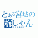 とある宮城の梅しゃん（八方往路連行）