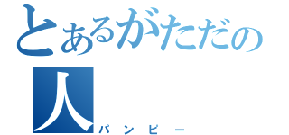 とあるがただの人（パンピー）