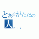 とあるがただの人（パンピー）