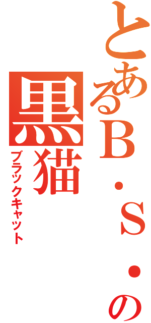 とあるＢ．Ｓ．の黒猫（ブラックキャット）