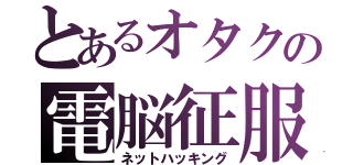 とあるオタクの電脳征服（ネットハッキング）