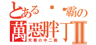 とあるㄋㄟ霸の萬惡胖丁Ⅱ（天尊の中二病）