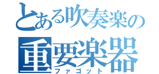 とある吹奏楽の重要楽器（ファゴット）