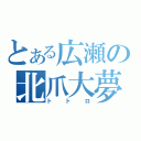 とある広瀬の北爪大夢（トトロ）