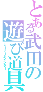 とある武田の遊び道具（レーザーポインター）