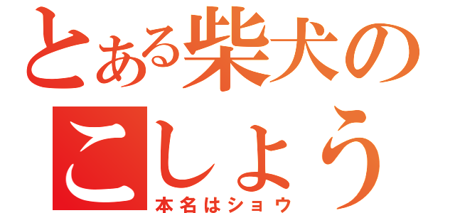 とある柴犬のこしょう（本名はショウ）