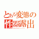 とある変態の性器露出（チンコ／マンコーーーーーーーー！）