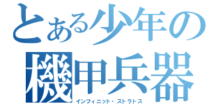 とある少年の機甲兵器（インフィニット・ストラトス）