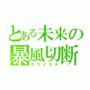 とある未来の暴風切断（カマイタチ）