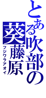 とある吹部の葵藤原（フジワラアオイ）