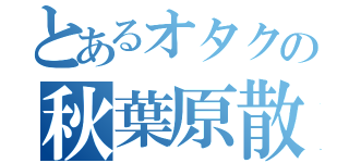 とあるオタクの秋葉原散策（）