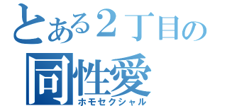 とある２丁目の同性愛（ホモセクシャル）