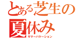 とある芝生の夏休み（サマーバケーション）