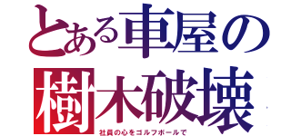 とある車屋の樹木破壊（社員の心をゴルフボールで）