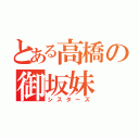 とある高橋の御坂妹（シスターズ）