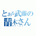 とある武藤の青木さん（スリーエフ）