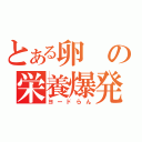 とある卵の栄養爆発（ヨードらん）