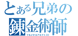 とある兄弟の錬金術師（フルメタルアルケミスト）