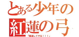 とある少年の紅蓮の弓矢（「駆逐してやる！！！」）