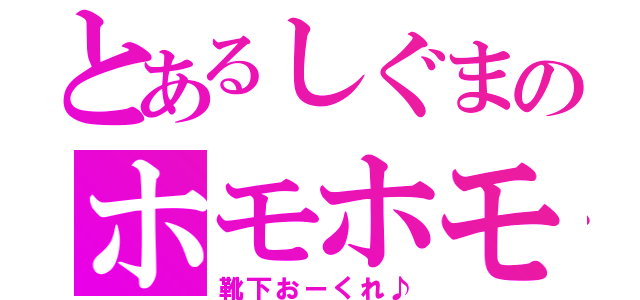 とあるしぐまのホモホモ（靴下おーくれ♪）