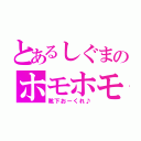 とあるしぐまのホモホモ（靴下おーくれ♪）